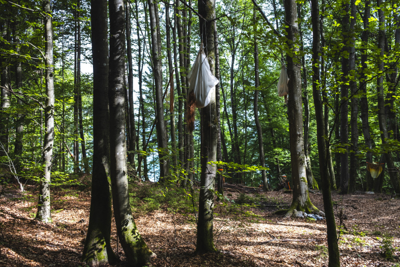 Foto: Philipp Schulz - boxquadrat