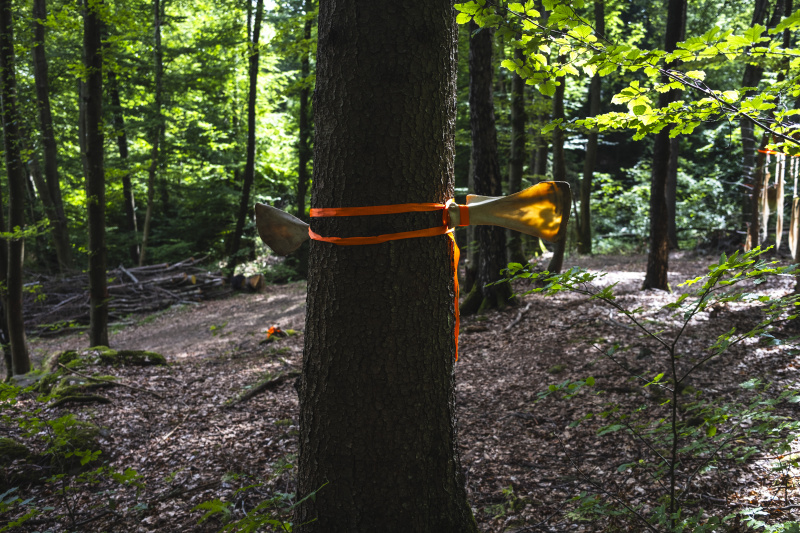 Foto: Philipp Schulz - boxquadrat