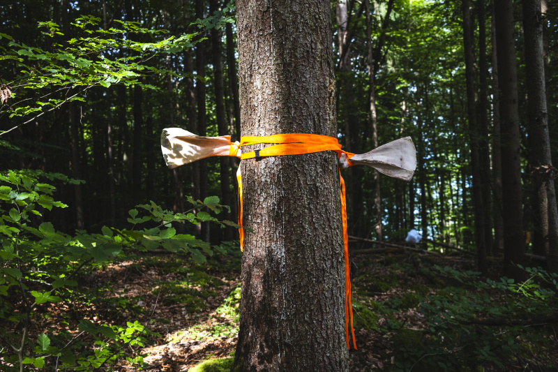 Foto: Philipp Schulz - boxquadrat